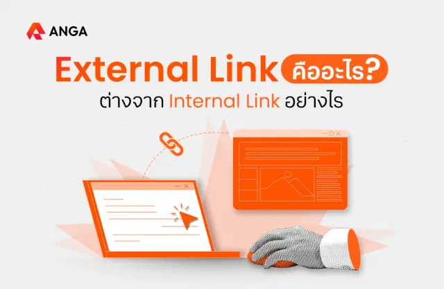 External Link คืออะไร? ต่างจาก Internal Link อย่างไร